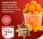 Orangen im Eimer bei GLOBUS im Bobenheim-Roxheim Prospekt für 3,99 €