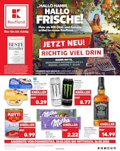 Aktueller Kaufland Supermarkt Prospekt in Bönen und Umgebung, "Aktuelle Angebote" mit 64 Seiten, 20.02.2025 - 26.02.2025