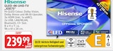 Aktuelles QLED-4K-UHD-TV Angebot bei Marktkauf in Filderstadt ab 239,99 €