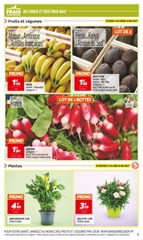 Plantes Angebote im Prospekt "Le mois du FRAIS" von Netto auf Seite 3