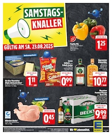 Warsteiner im EDEKA Prospekt "HOL DIR DIE EDEKA APP." mit 30 Seiten (Kempten (Allgäu))