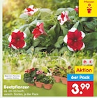 Netto Marken-Discount Dornum Prospekt mit  im Angebot für 3,99 €