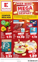 Kaufland Prospekt: "Sonderbeilage", 8 Seiten, 02.01.2025 - 08.01.2025