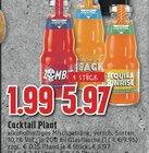 EDEKA Neukirchen-Vluyn - Cocktail Plant Angebot im Prospekt Cocktail Plant bei EDEKA im Neukirchen-Vluyn Prospekt für 1,99 €