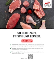 Wohnlandschaft im HIT Prospekt in Mainz Aktueller HIT Prospekt mit Wohnlandschaft, "ECHTE VIELFALT", Seite 17