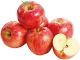 Rote Bio Tafeläpfel Angebote von REWE Bio bei REWE Leinfelden-Echterdingen für 2,22 €
