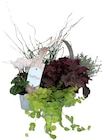 Bunter Herbst Mix im Angebot bei REWE in Recklinghausen Bunter Herbst Mix Angebote bei REWE Recklinghausen für 7,99 €