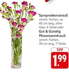 Spraynelkenstrauß bei EDEKA im Großbottwar Prospekt für 1,99 €