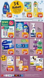 Hundefutter im REWE Prospekt in Hofheim Aktueller REWE Prospekt mit Hundefutter, "Dein Markt", Seite 26