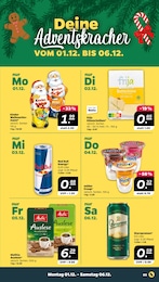 Weihnachtsdekoration im Netto mit dem Scottie Prospekt Günstig. Besser. Für Dich. auf S. 5