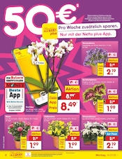 Pflanzen im Netto Marken-Discount Prospekt in Freiberg Aktueller Netto Marken-Discount Prospekt mit Pflanzen, "Aktuelle Angebote", Seite 6