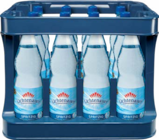 Netto Marken-Discount Raschau - Mineralwasser Angebot im Prospekt Mineralwasser bei Netto Marken-Discount im Raschau Prospekt für 4,99 €