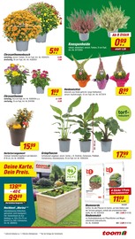 Gartendeko im toom Baumarkt Prospekt in Grevenbroich Aktueller toom Baumarkt Prospekt mit Gartendeko, "Respekt, wer's selber macht.", Seite 3