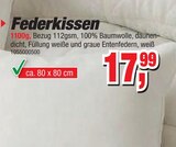 Federkissen im Angebot bei Die Möbelfundgrube in Bad Kreuznach Federkissen Angebote bei Die Möbelfundgrube Bad Kreuznach für 17,99 €