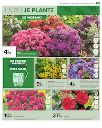 Offre Hortensia dans le catalogue Carrefour du moment à la page 7