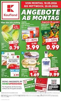 Aktueller Kaufland Prospekt (Großenhain) Kaufland Prospekt mit 63 Seiten (Großenhain)