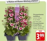 EDEKA Grafenhausen Prospekt mit  im Angebot für 3,99 €