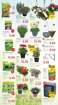 Gartenerde im aktuellen Jawoll Prospekt (Mönchengladbach) Gartenerde im Jawoll Prospekt "Sonderposten-Märkte" mit 16 Seiten (Mönchengladbach)