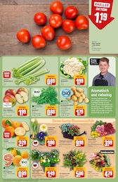 REWE Rucola im Prospekt 