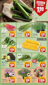 Bohnen im REWE Prospekt "Dein Markt" mit 20 Seiten (Bonn)