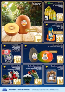 Aktueller EDEKA Prospekt