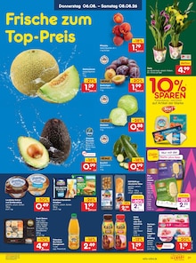 Sushi im aktuellen Netto Marken-Discount Prospekt (Dresden) Sushi im Netto Marken-Discount Prospekt "Aktuelle Angebote" mit 49 Seiten (Dresden)