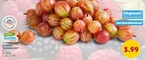 Penny Schwabenheim - Deutsche Stachelbeeren Angebot im Prospekt Deutsche Stachelbeeren bei Penny im Schwabenheim Prospekt für 3,99 €