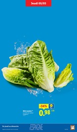 Offre Salade verte dans le catalogue Lidl du moment à la page 5