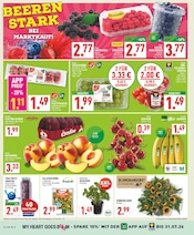 Bio im Marktkauf Prospekt in Menden Aktueller Marktkauf Prospekt mit Bio, "Aktuelle Angebote", Seite 2
