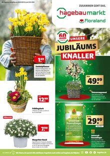 Aktueller Hagebaumarkt Prospekt "UNSERE JUBILÄUMS KNALLER" Seite 1 von 24 Seiten für Rutesheim