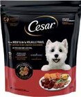 Hundenahrung von Cesar im aktuellen V-Markt Prospekt für 4,99 €