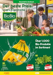 Bio im Netto Marken-Discount Prospekt in Bad Oeynhausen Aktueller Netto Marken-Discount Prospekt mit Bio, "Aktuelle Angebote", Seite 8