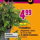 Hornbach Kiel Prospekt mit  im Angebot für 4,99 €