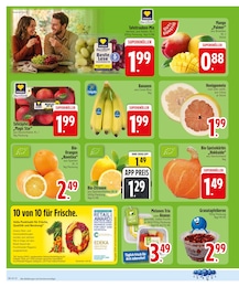 EDEKA Palme im Prospekt 