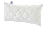 IRISETTE Kopfkissen Maila Angebote von IRISETTE bei Sconto SB Leipzig für 19,95 €