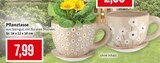 Aktuelle Blumentopf Angebote bei Kaufhaus Stolz in Bremerhaven Aktuelles Pflanztasse Angebot bei Kaufhaus Stolz in Bremerhaven ab 7,99 €