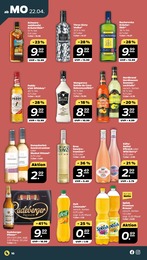 Whiskey Angebot im aktuellen Netto mit dem Scottie Prospekt auf Seite 10