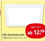 LED-Deckenleuchte im aktuellen ROLLER Prospekt