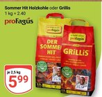 Sommer Hit Holzkohle Angebote von proFagus bei GLOBUS Hoyerswerda für 5,99 €