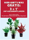 3 + 1 GRATIS im Angebot bei Dehner Garten-Center in Lehrte 3 + 1 GRATIS Angebote bei Dehner Garten-Center Lehrte