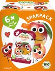 Quetschie Apfel, Mango & Pfirsich ab 6 Monaten (6x100 g) Angebote von Freche Freunde bei dm-drogerie markt Hildesheim für 4,95 €