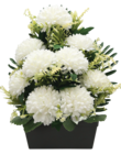 Jardinière 9 chrysanthèmes en promo chez Maxi Bazar Neuilly-sur-Seine à 19,99 €