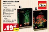 Glücksbambus im Angebot bei E center in Mannheim Glücksbambus Angebote von LEGO bei E center Mannheim für 19,99 €