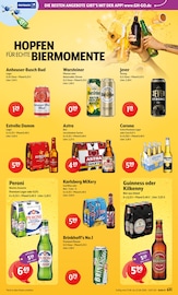 Warsteiner im Getränke Hoffmann Prospekt in Schwerte Aktueller Getränke Hoffmann Prospekt mit Warsteiner, "Aktuelle Angebote", Seite 6