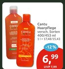 Haarpflege im Angebot bei budni in Stade Haarpflege Angebote von Cantu bei budni Stade für 6,99 €