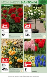 Promos Fleurs dans le catalogue "JARDIN LÀ OÙ LA VIE SE CULTIVE" de Carrefour Market Fleurs en promo dans le catalogue Carrefour Market à la page 3