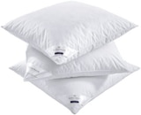 KOPFKISSEN im Angebot bei XXXLutz Möbelhäuser in Regensburg KOPFKISSEN Angebote von Billerbeck bei XXXLutz Möbelhäuser Regensburg für 49,99 €