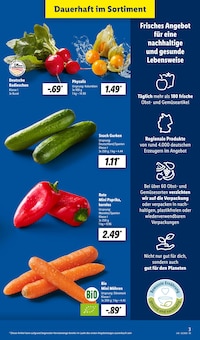 Paprika im Lidl Prospekt "LIDL LOHNT SICH" mit 66 Seiten (Dresden)