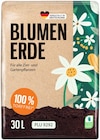 Blumenerde Angebote bei Penny Stade für 2,99 €