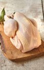 Poulet Fermier Label Rouge IGP en promo chez Intermarché Poulet Fermier Label Rouge IGP dans le catalogue Intermarché